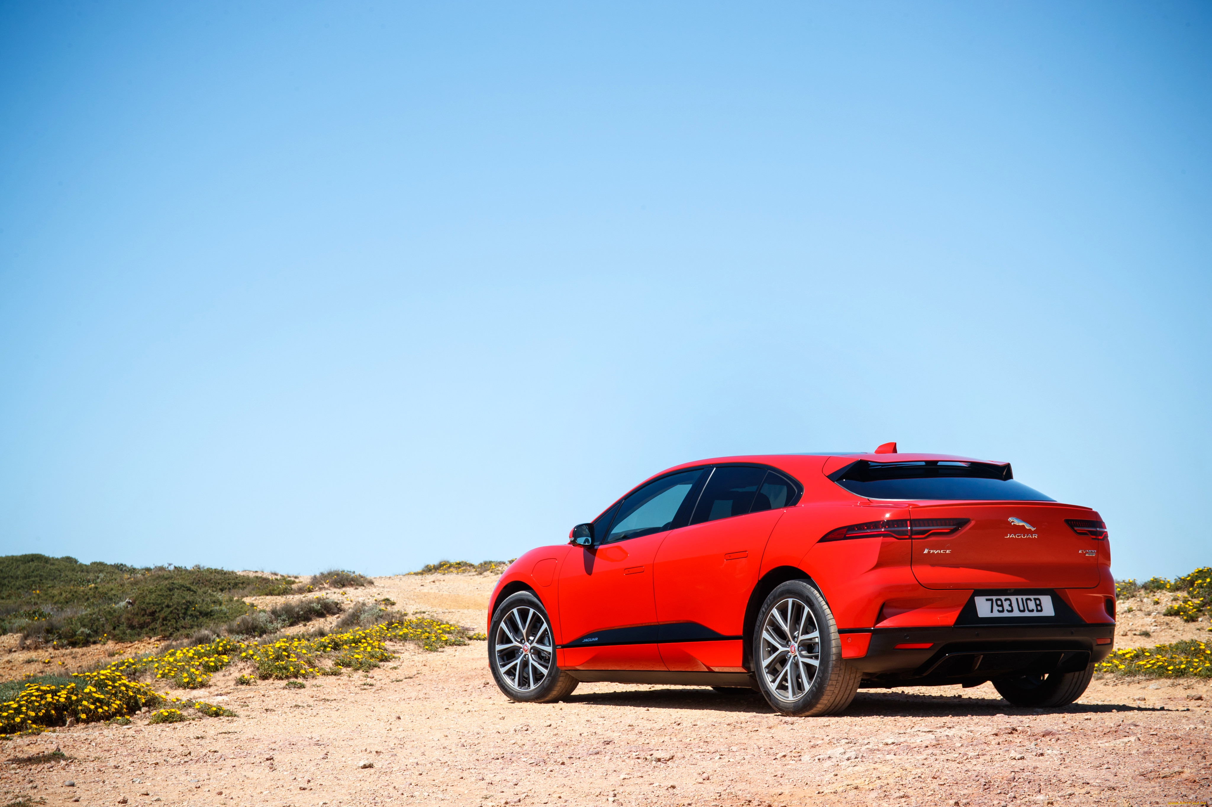 , jaguar